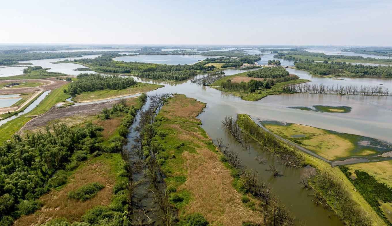 Biesbosch van bovenaf
