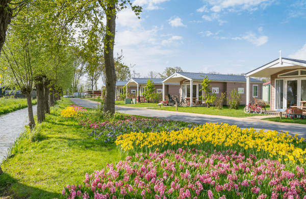 Frühling im Familien Resort Molenwaard