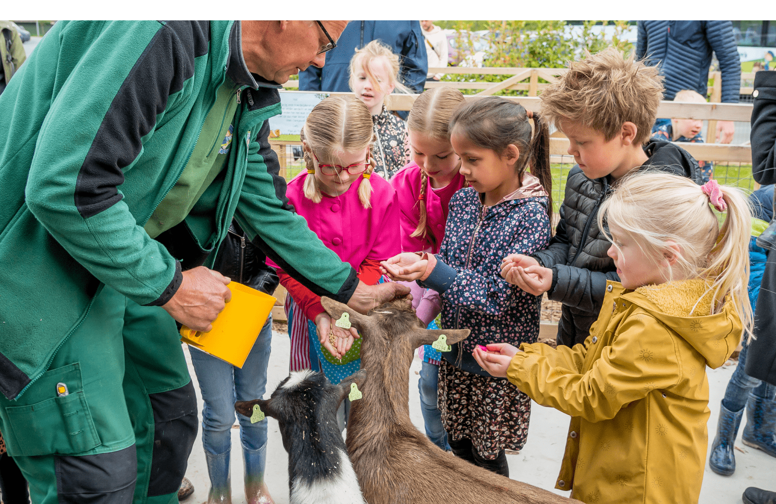 Geitjes voeren bij avonturenboerderij molenwaard